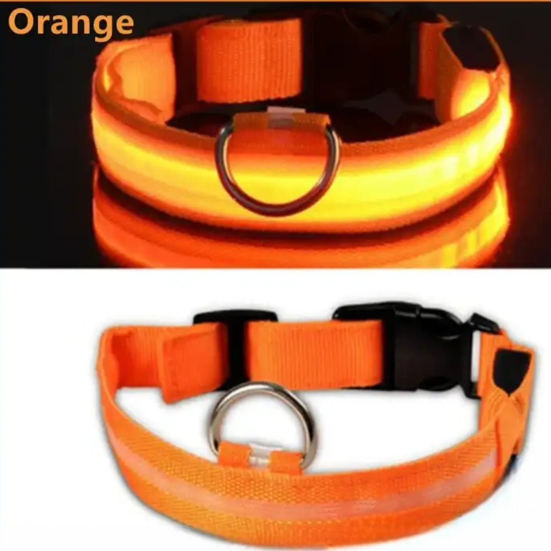 Collar para perro con luz LED USB