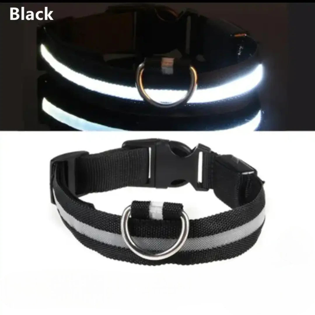 Collar para perro con luz LED USB