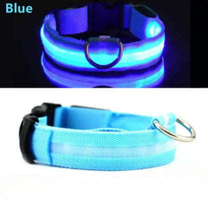 Collar para perro con luz LED USB