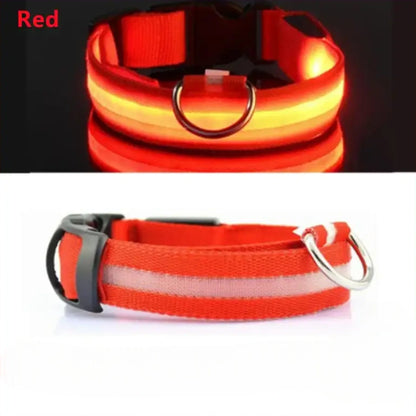 Collar para perro con luz LED USB