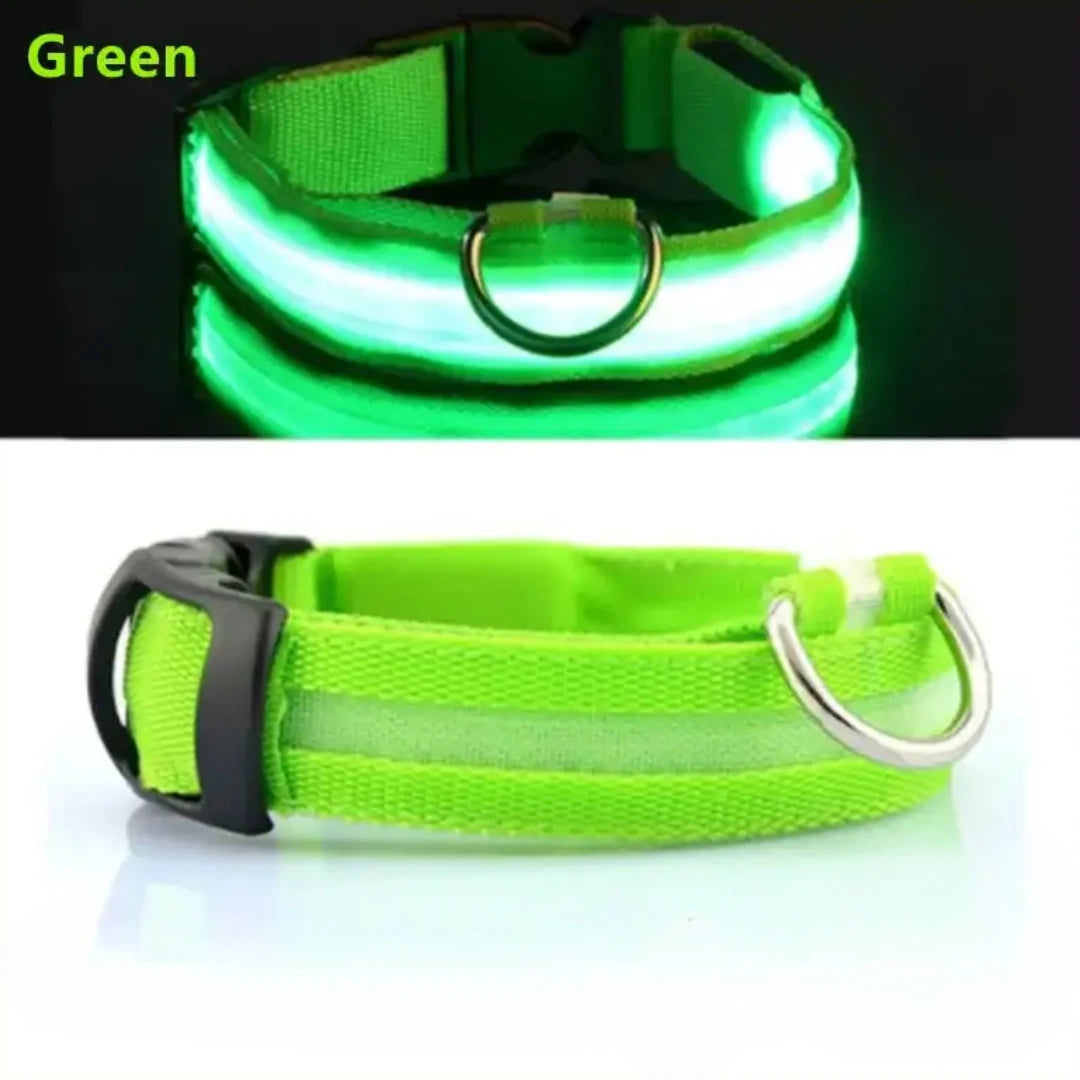 Collar para perro con luz LED USB