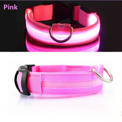 Collar para perro con luz LED USB