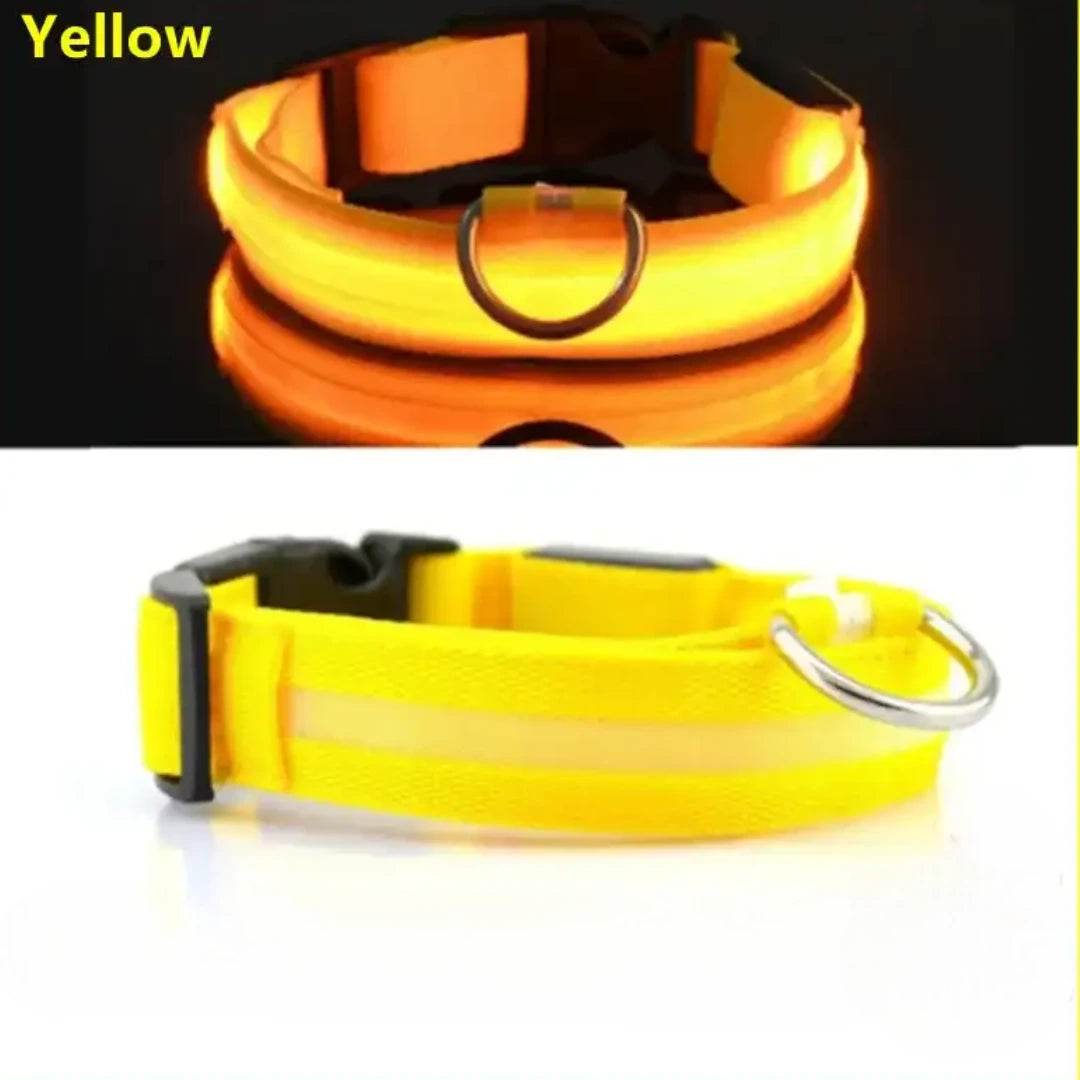 Collar para perro con luz LED USB