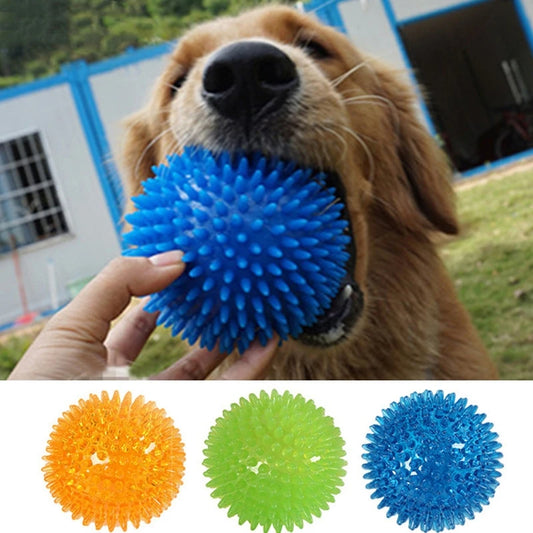 Pelota de juguete para perros