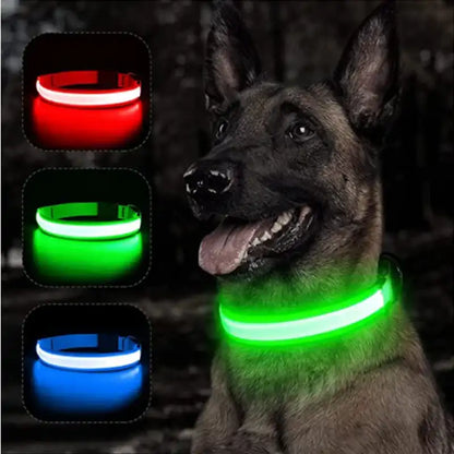 Collar para perro con luz LED USB