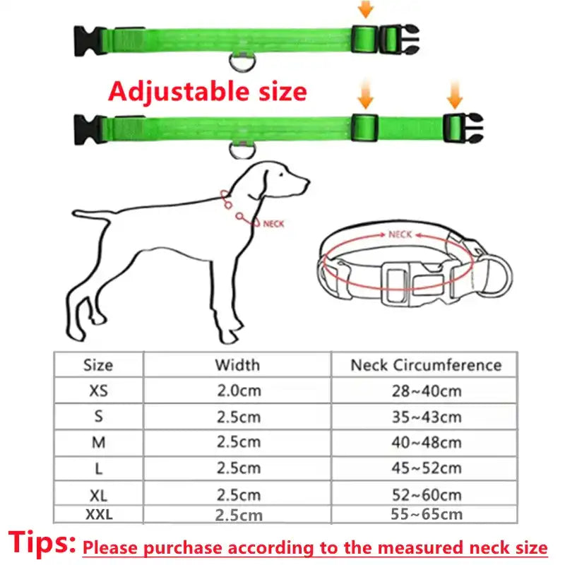 Collar para perro con luz LED USB